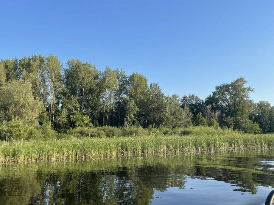 Земельный участок, 173.9 сот.