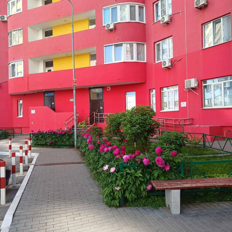 2-к. квартира, 53.9 м<sup>2</sup>